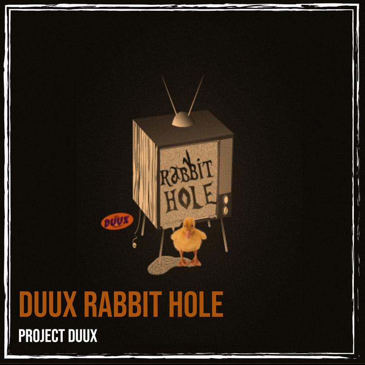 Project Duux's avatar image