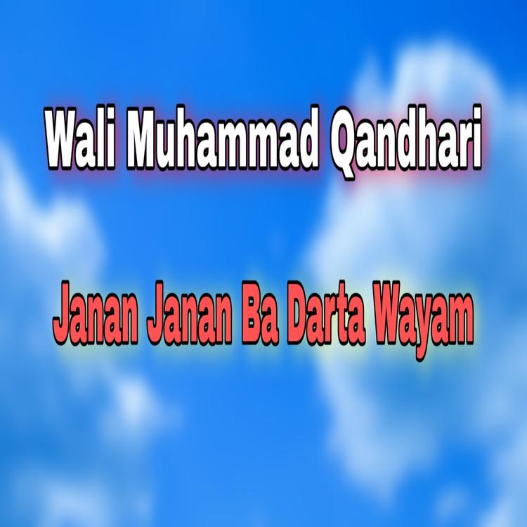 Wali Muhammad Qandhari's avatar image