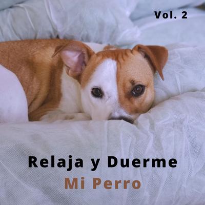 Música De Gatos By Ansiedad De Los Perros, Música Para Dormir A Los Perros, Thiago Mascotas's cover