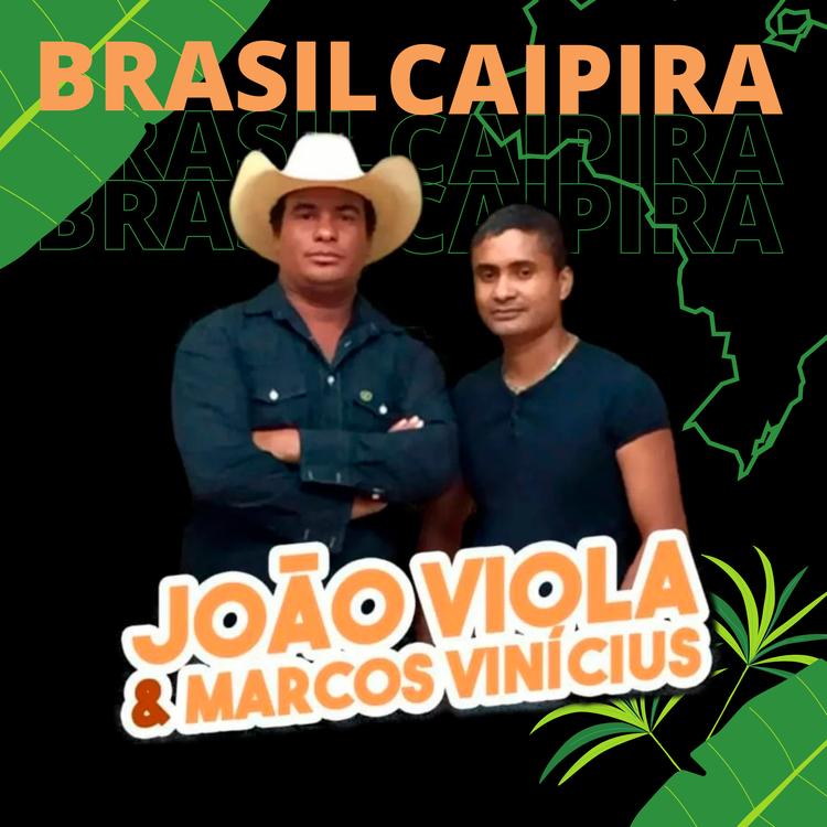 João Viola e Marcos Vinicius's avatar image