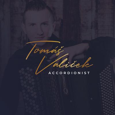 7 RINGS (Special Accordion Version) By Tomáš Valiček accordionist's cover