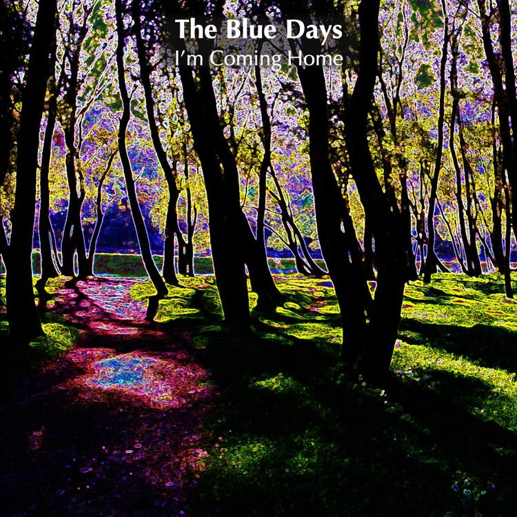 The Blue Days's avatar image