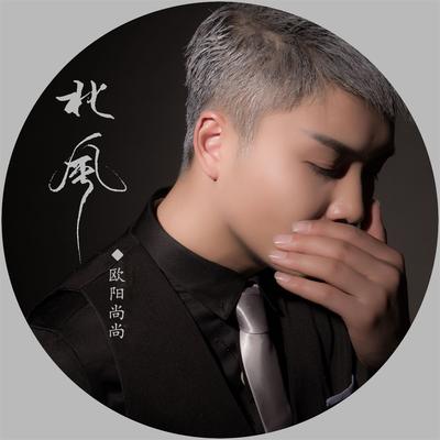 北风 (DJ版)'s cover