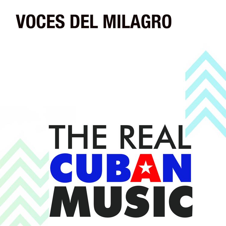 Voces del Milagro's avatar image