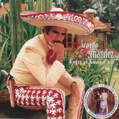 Me Voy a Quitar de en Medio By Vicente Fernández's cover