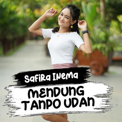 Mendung Tanpo Udan (Slow Reverb)'s cover