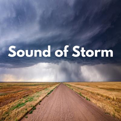 Sound of Storm's cover