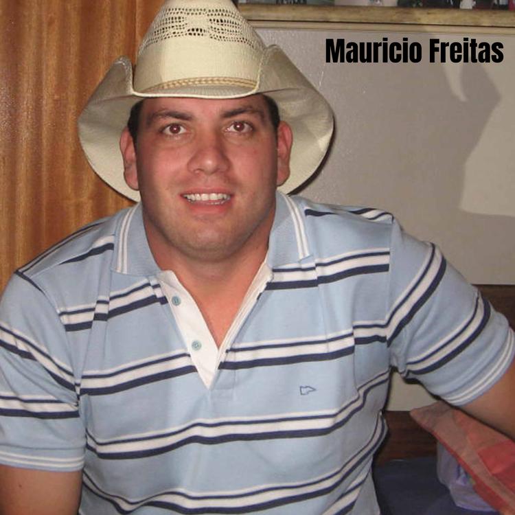Maurício Freitas's avatar image