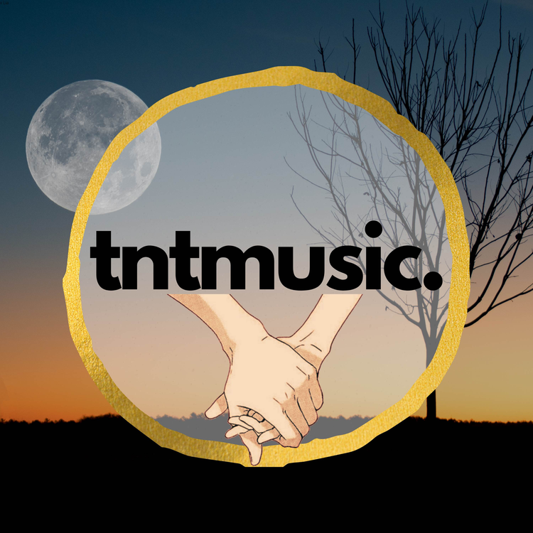 Tnt Music's avatar image