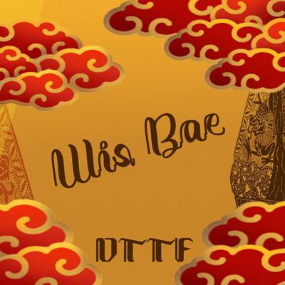 Wis Bae's cover
