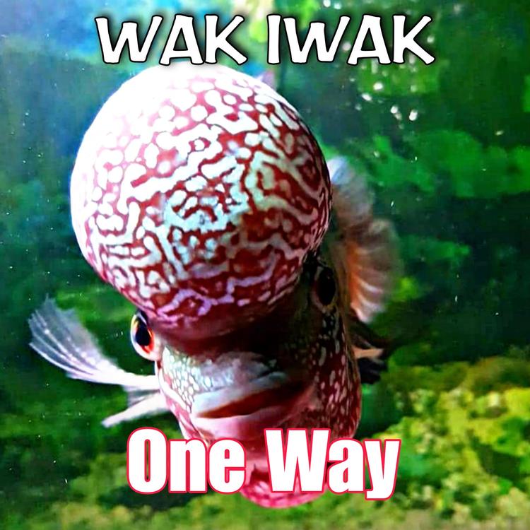 WAK IWAK's avatar image