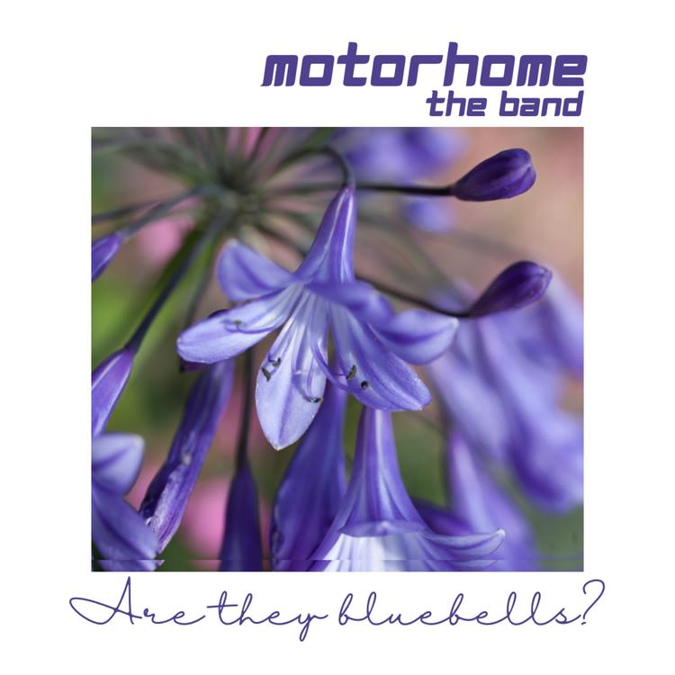 Motorhome The Band's avatar image