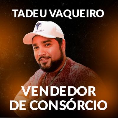 Vendedor de Consórcio's cover