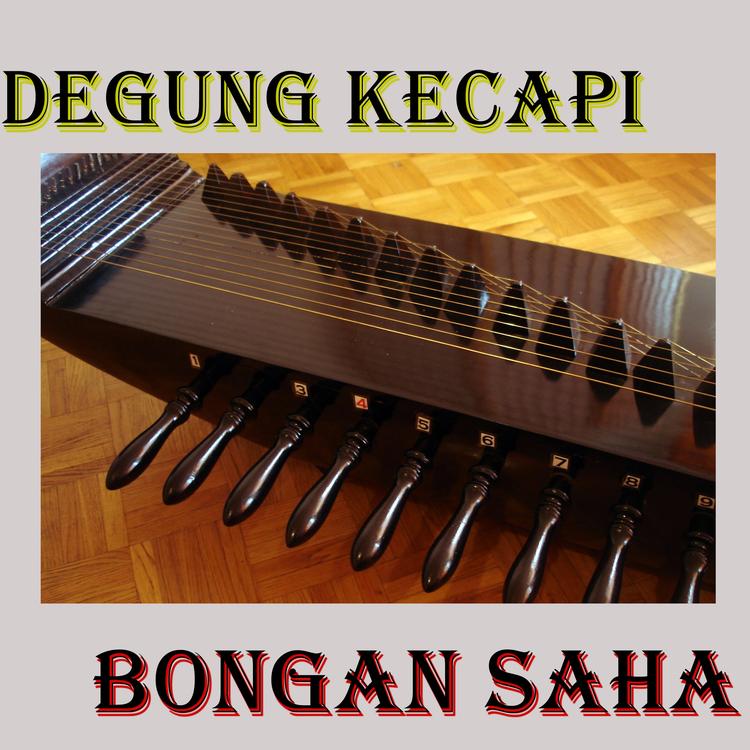 Degung Kecapi's avatar image