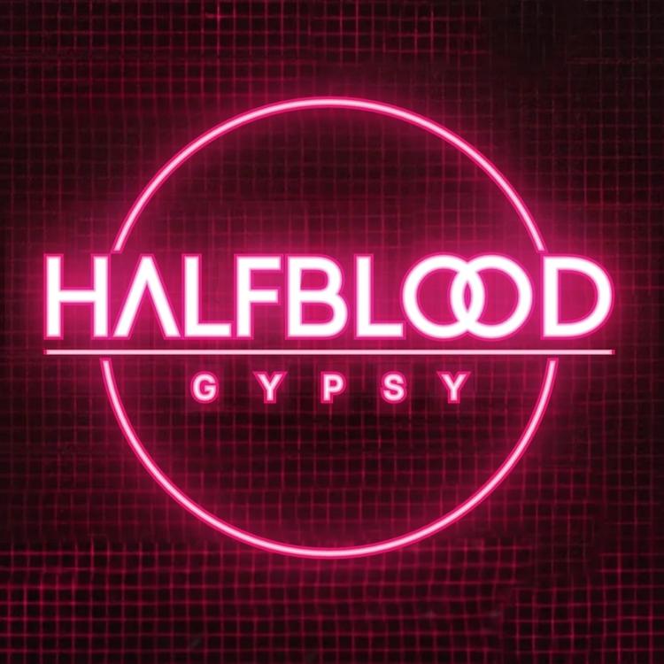 Halfblood Gypsy's avatar image