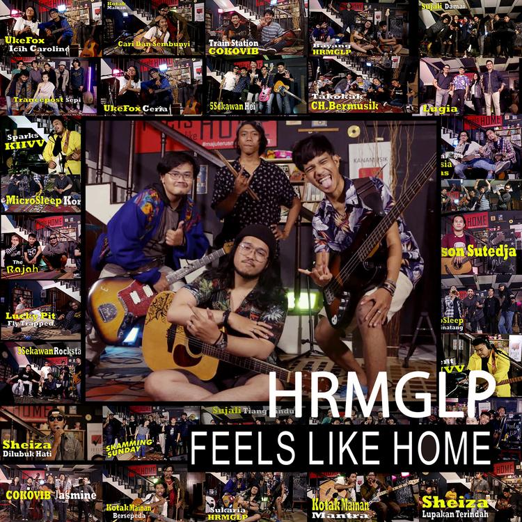 HRMGLP's avatar image