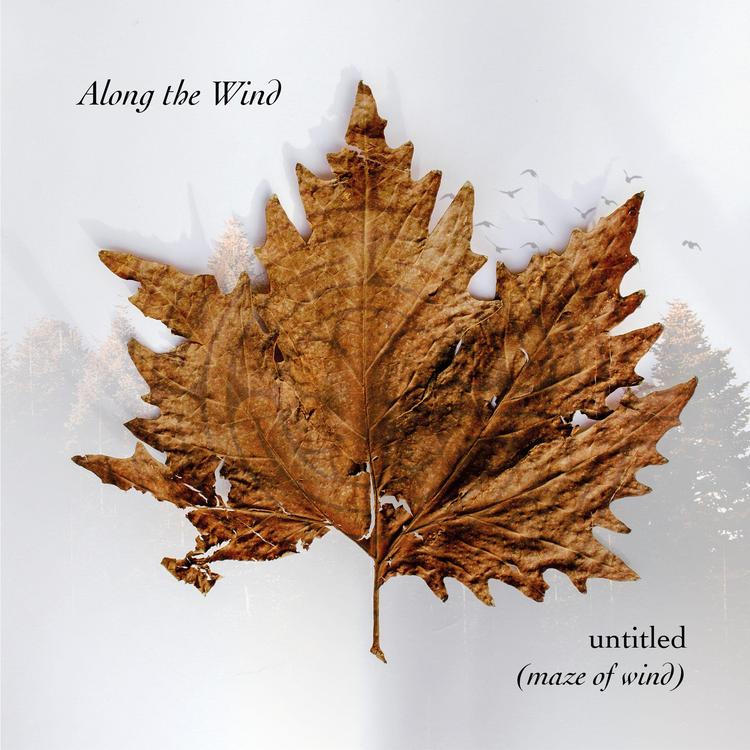 Along the Wind's avatar image