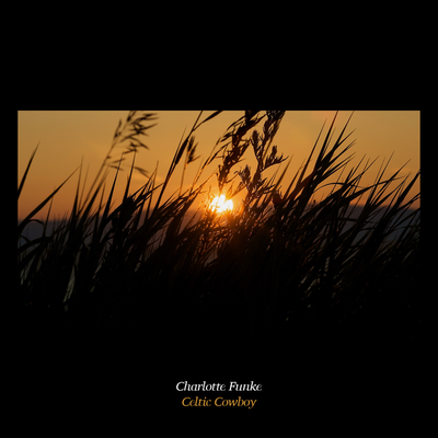 Celtic Cowboy By Charlotte Funke's cover