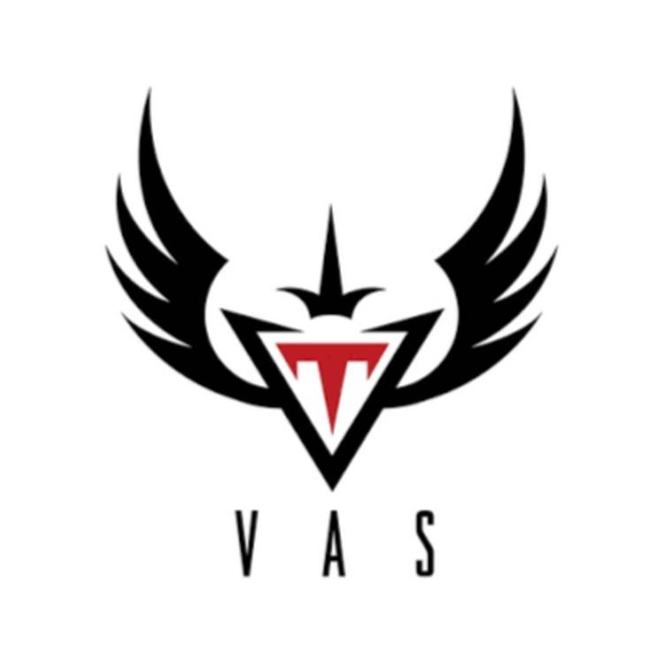 The VAS's avatar image