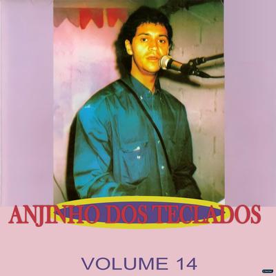 Anjinho dos Teclados, Vol. 14's cover