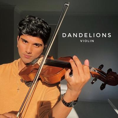 Dandelions (Violin)'s cover