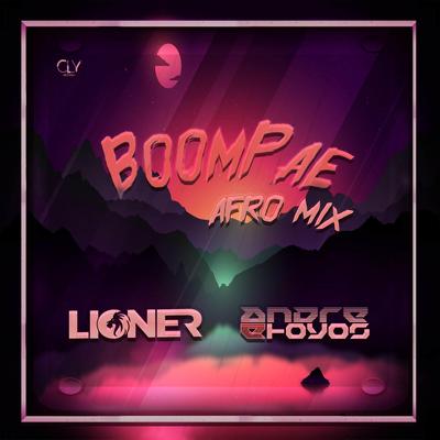 Boompae (Afro Mix)'s cover