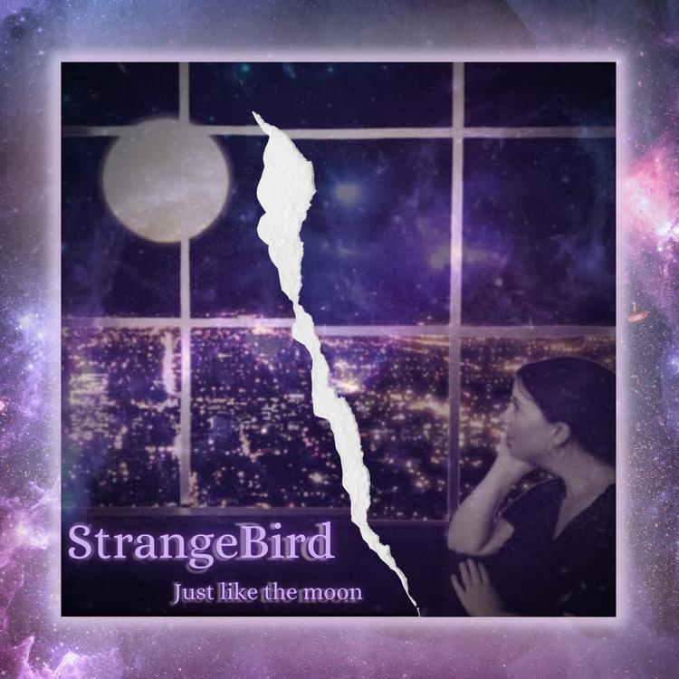 StrangeBird's avatar image