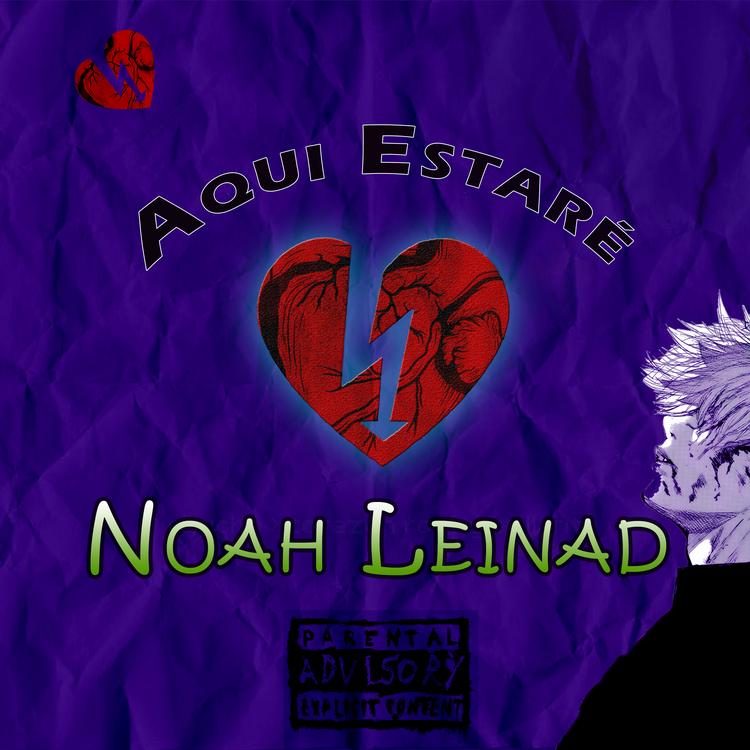 Noah Leinad's avatar image