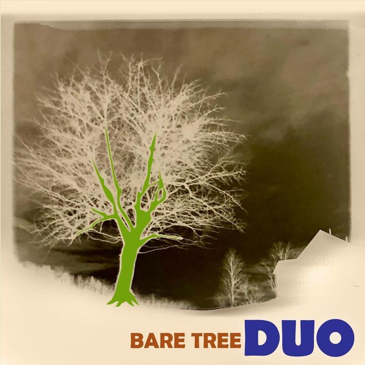 Bare Tree Duo's avatar image