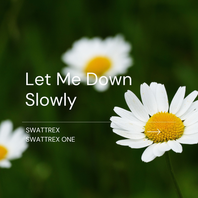 Let Me Down Slowly By Swattrex, Swattrex One's cover