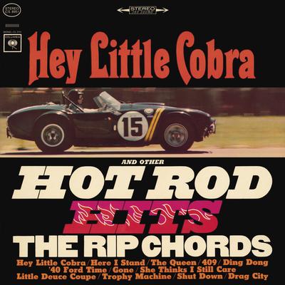 Hey Little Cobra (Album Version) By The Rip Chords's cover