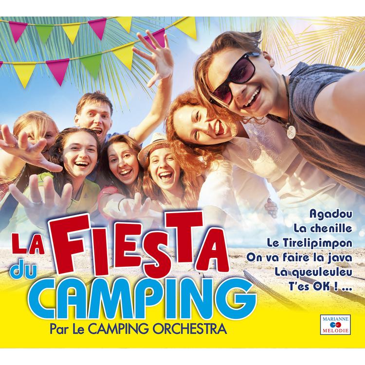 Camping Orchestra's avatar image