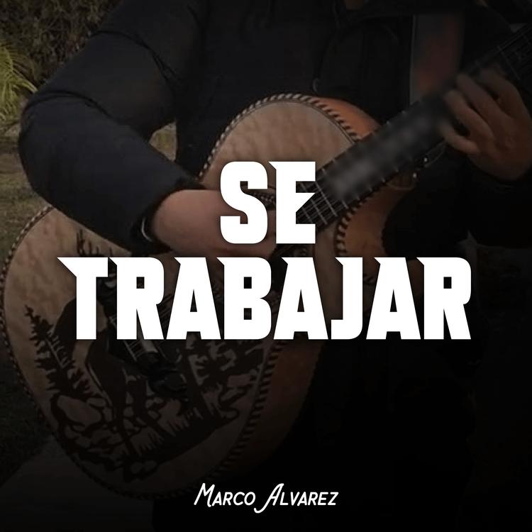 Marco Alvarez's avatar image