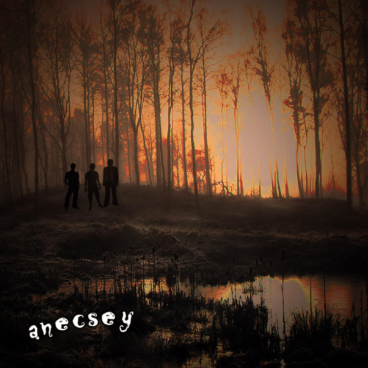 Anecsey's avatar image