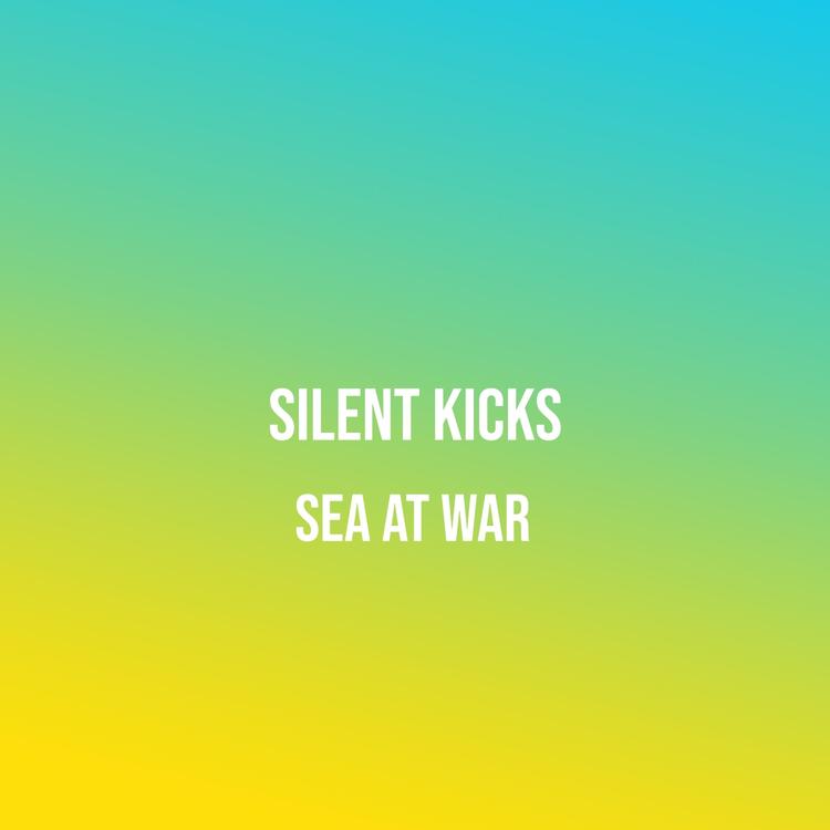 Silent Kicks's avatar image