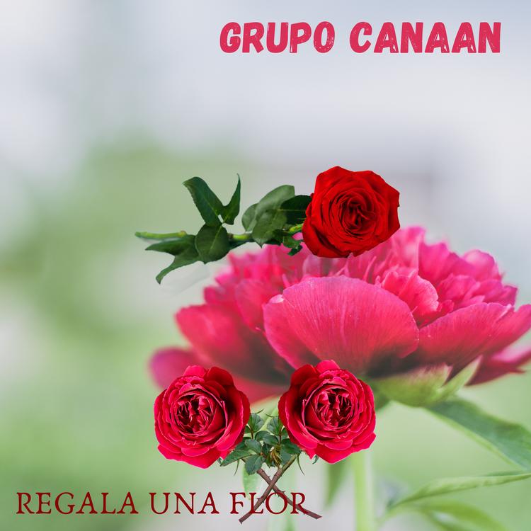 Grupo Canaan's avatar image