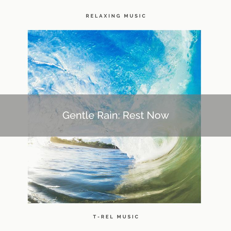 Relaxation Rain Meditation's avatar image