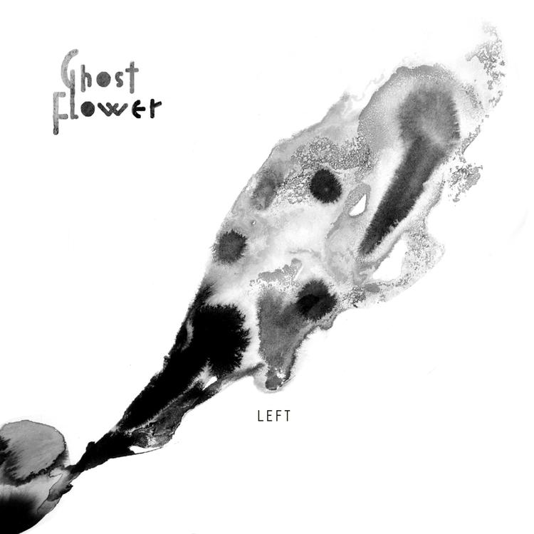 Ghost Flower's avatar image