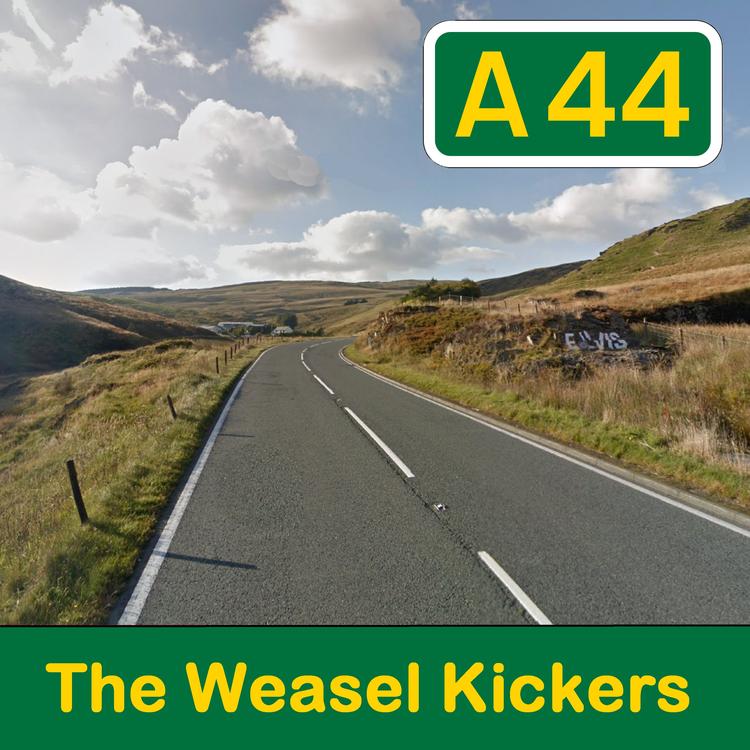 The Weasel Kickers's avatar image