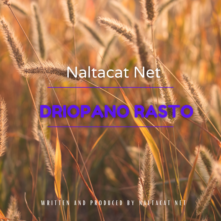 Naltacat Net's avatar image