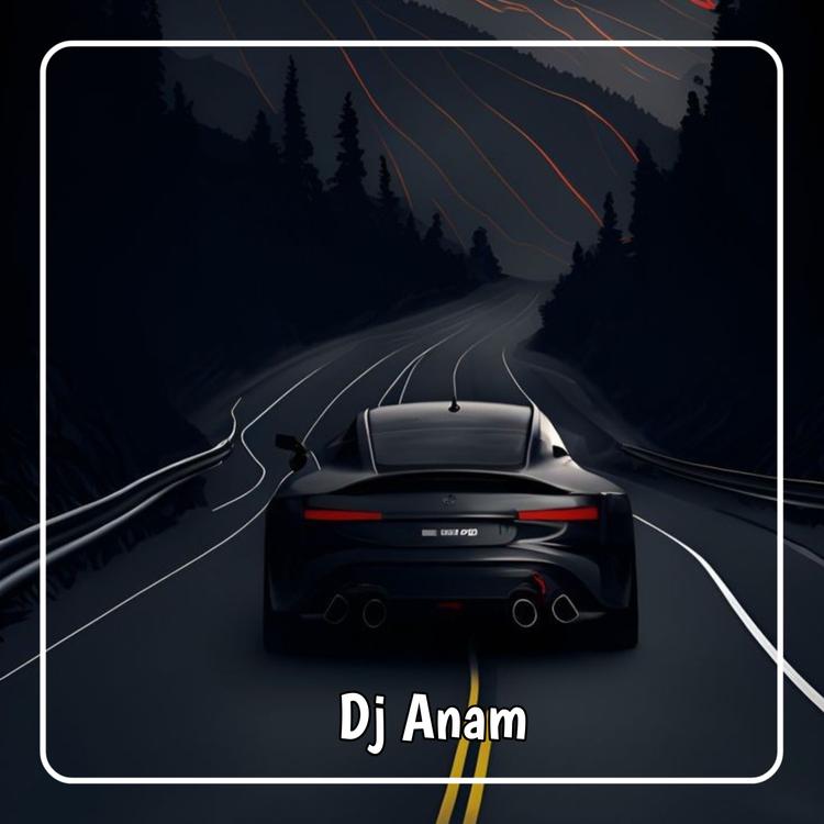 DJ ANAM's avatar image