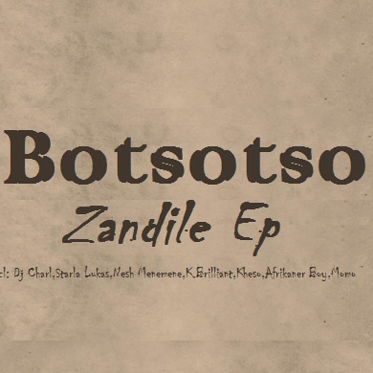 Botsotso's avatar image