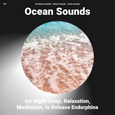 Pure Ocean Noises's cover