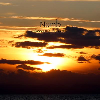 Numb By Acoustic Sunsets's cover