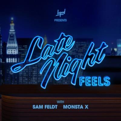 Late Night Feels By Sam Feldt, MONSTA X's cover