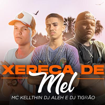 Xereca de Mel's cover