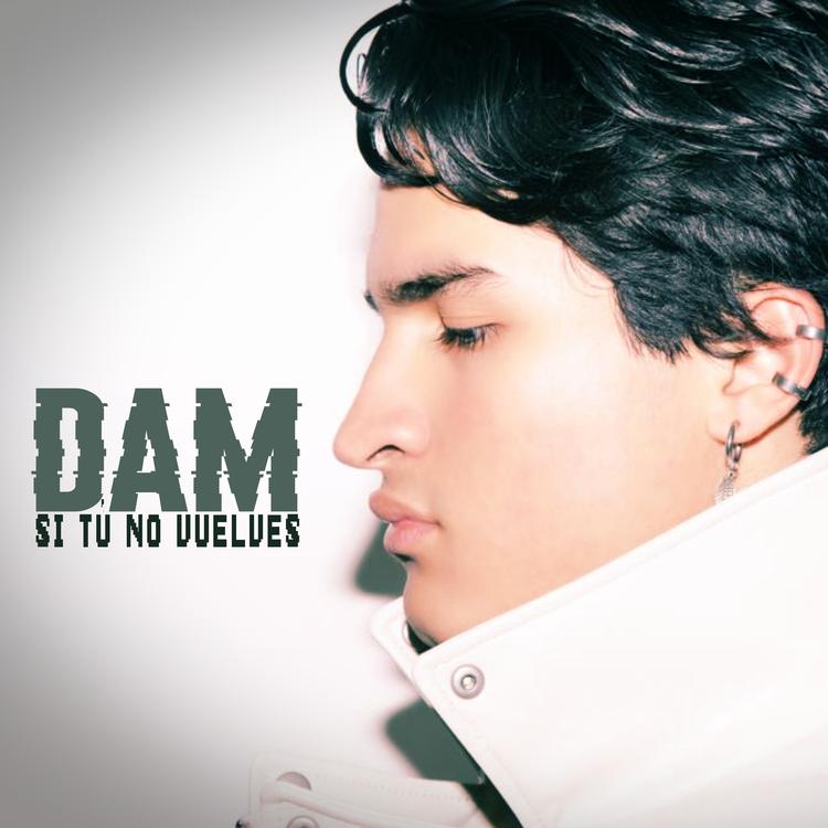 Dam's avatar image