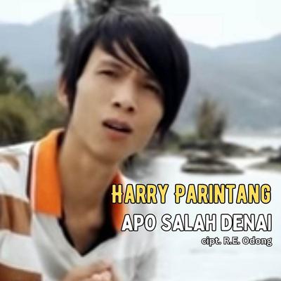 Apo Salah Denai By Harry Parintang's cover