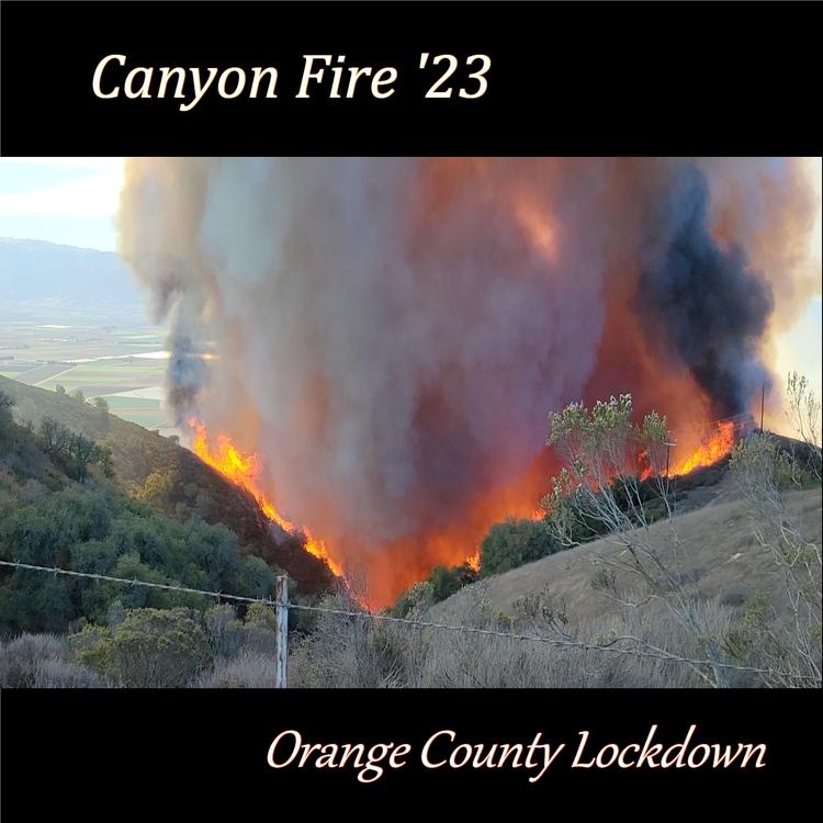 Orange County Lockdown's avatar image