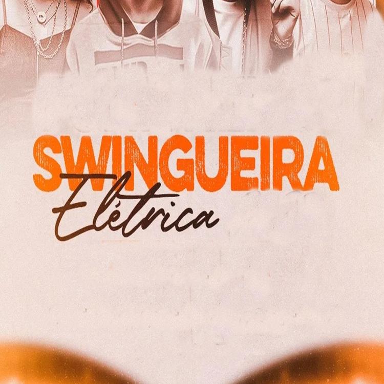 Swingueira Eletrica's avatar image